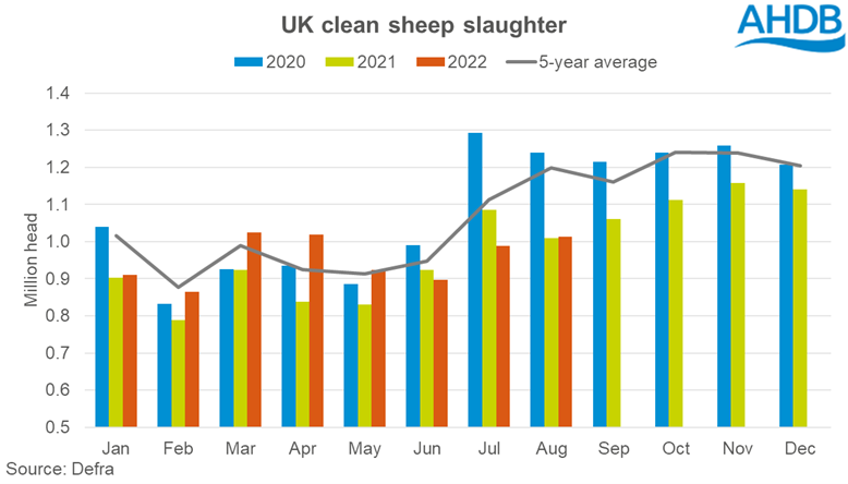 Graph showing monthly UK clean sheep slaughter to Aug-22